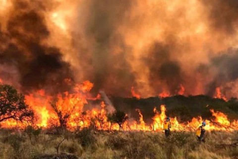 La Provincia planifica acciones para combatir la temporada alta de incendios forestales