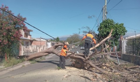 El viento dejó graves daños en líneas eléctricas y cuadrillas trabajan sin pausa en Capital