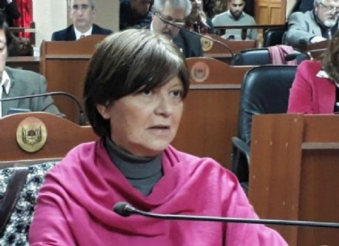 Diputada Adriana Díaz: "Las audiencias públicas son una puesta en escena ya que las decisiones ya están tomadas"