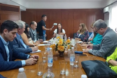 El Ejecutivo prepara la Ley de Emergencia económica para que sea tratada en la Legislatura