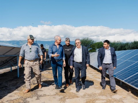 “Olivas al Mundo” inauguró sistema de paneles solares que optimiza la producción olivícola