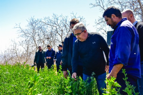 Productores de Siján, Rincón y Mutquín recibieron sistemas de riego para su desarrollo productivo