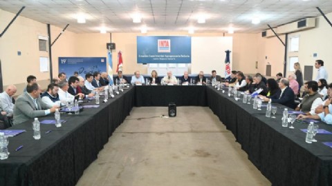 Chicharrita del maíz: Catamarca participó del comité de crisis para el control de la plaga
