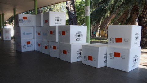 La provincia recibió 9 mil vacunas antigripales