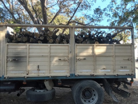 Incautan material forestal en el interior