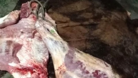 Secuestran carne faenada ilegalmente en el interior