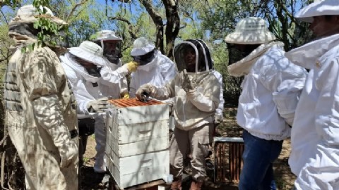 Actualizan stock de colmenas en la provincia para garantizar la sanidad apícola
