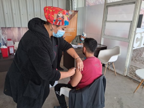 Vacunación en Catamarca Productiva