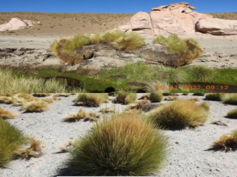 Avanza con éxito el proyecto de revalorización de la Vega Trapiche, en Antofagasta