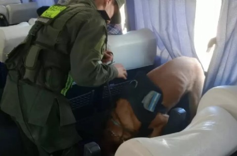 Un pasajero que viajaba hacia Catamarca fue detenido con 3 kilos de cocaína