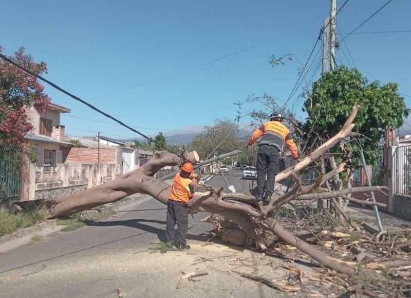 El viento dejó graves daños en líneas eléctricas y cuadrillas trabajan sin pausa en Capital