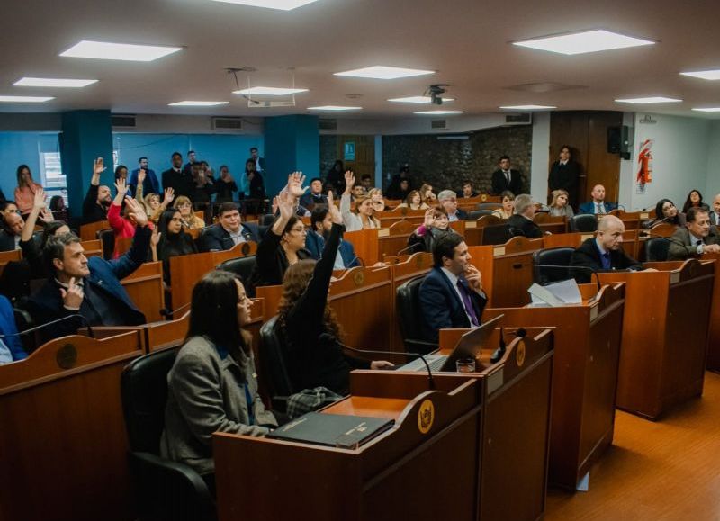 Debate intenso: la ley de emergencia económica fue aprobada en Diputados