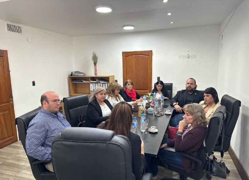 Diputados se reunieron con el Ministerio de Salud y la OSEP para abordar la agenda sanitaria del año