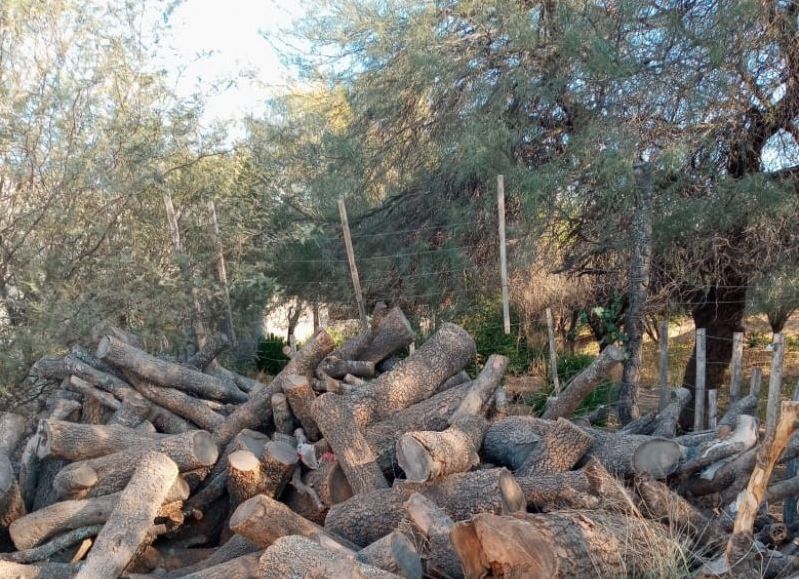 Medio Ambiente inspeccionó campos en el interior provincial