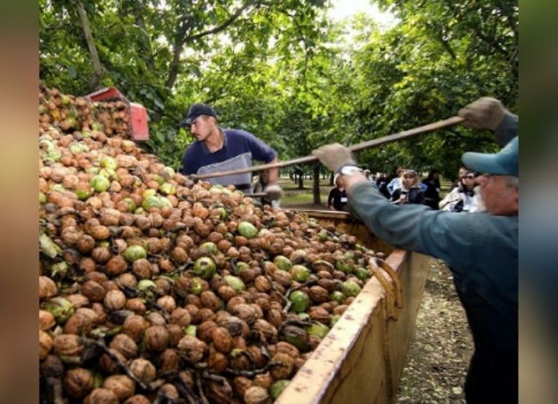Negociaciones de UATRE: acuerdo de valores para las cosechas 2023/2024