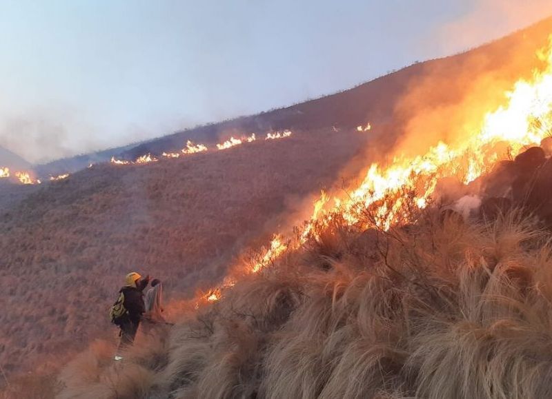 Incendio forestal en Ambato: continúan las labores de contención
