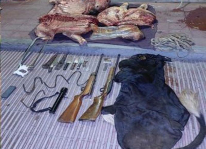 Escándalo en el campo: detuvieron a cuatreros con un vacuno faenado y el fiscal los liberó de inmediato