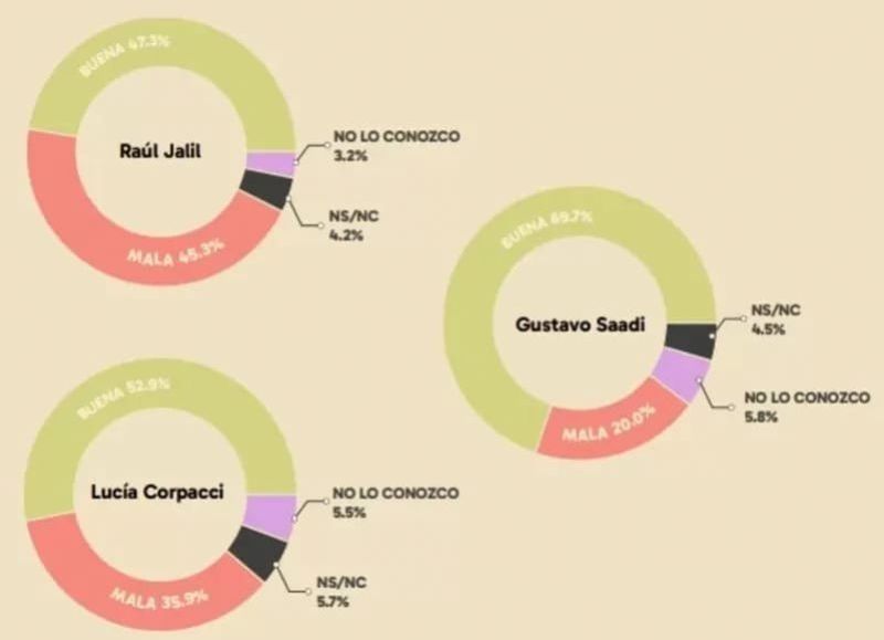 Gustavo Saadi vuela alto mientras Milei se hunde en el rechazo